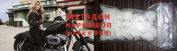 прущие крисы Тайга