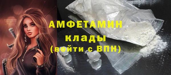 гидра Тавда