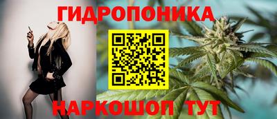 шишки Ливны