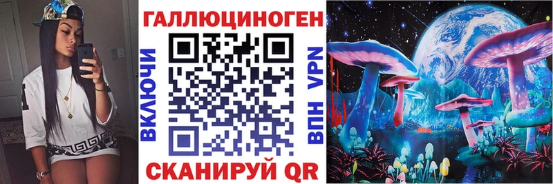 Галлюциногенные грибы Psilocybine cubensis  Балашов 